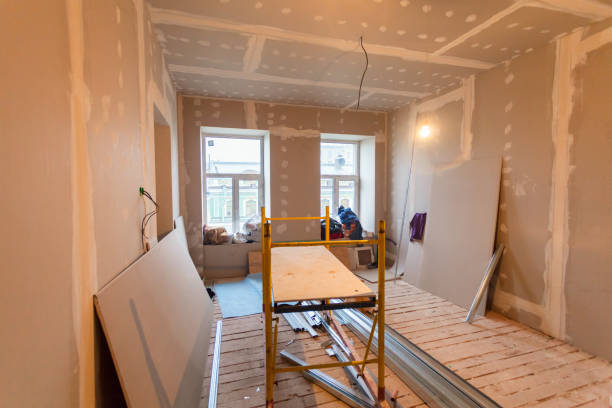 Best Industrial Mold Remediation  in Oaklawn Sunview, KS
